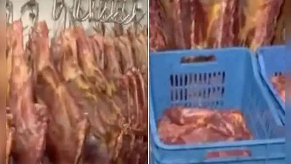 Ate: mataban 50 caballos al día para venderlos como carne de res en mercados La Parada y Caquetá