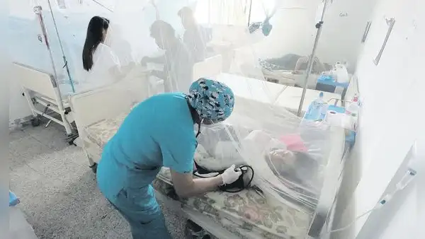 Dengue: el 30% de pacientes con dengue son niños y adolescentes