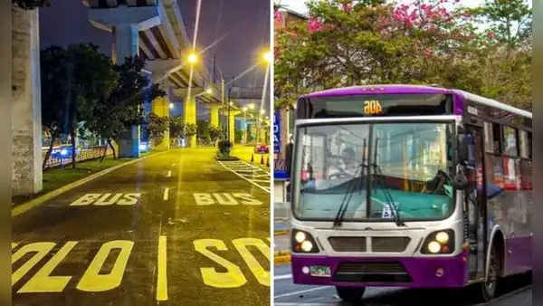 ¡14 minutos menos de viaje! ATU implementa carriles exclusivos para el transporte público en SJL