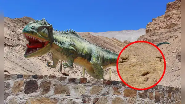 ¡Jurassic Park de Arequipa! Conoce dónde ver GRATIS huellas reales de dinosaurios