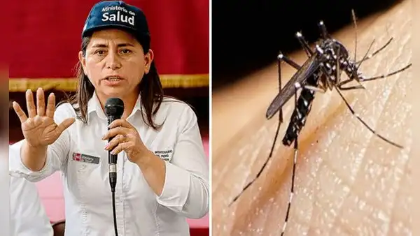 Dengue en Perú: ministra de Salud asegura que el porcentaje de hospitalizados descendió en un 70%