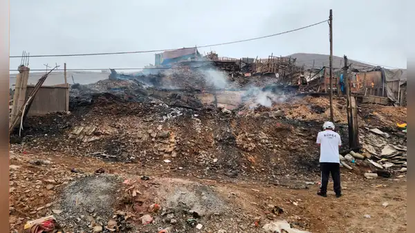 Ventanilla: familia perdió más de 100 animales valorizados en S/120.000 tras incendio