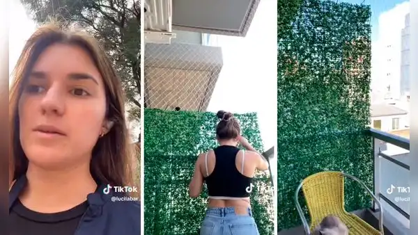 Argentina utiliza peculiar estrategia para no ver a su vecino y redes estallan: "La más sociable"