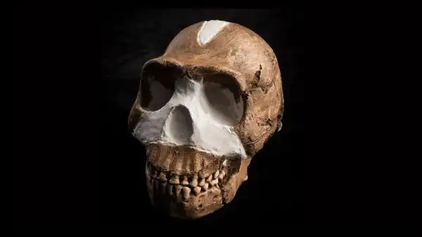 Hallan las tumbas más antiguas del mundo y descubren que no fueron hechas por humanos
