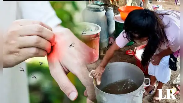 ¿Cómo se transmite el DENGUE y qué hacer para prevenir su CONTAGIO?: síntomas y tratamiento