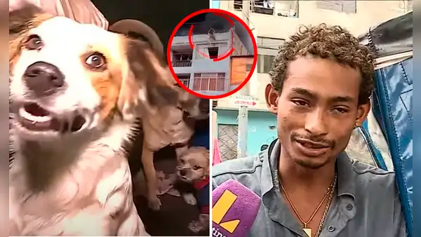 Hombre que salvó a perros de incendio en Gamarra revela su historia: "Vivo en la calle, pero soy feliz"