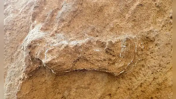 Encuentran la huella humana más antigua en el mundo