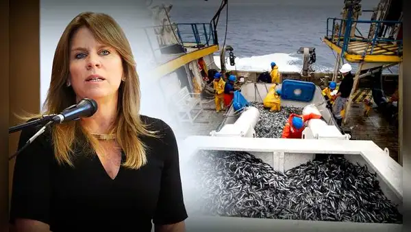 Cayetana Aljovín: "Sí vamos a poder tener una primera temporada de pesca de anchoveta"