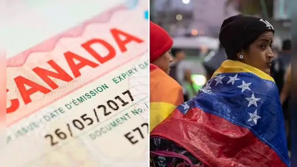 Visa canadiense para venezolanos: ¿cuáles son los requisitos para sacarla y cuánto cuesta?