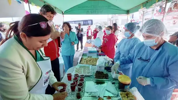 Arequipa: a 25 mil niños aún les falta su descarte de anemia
