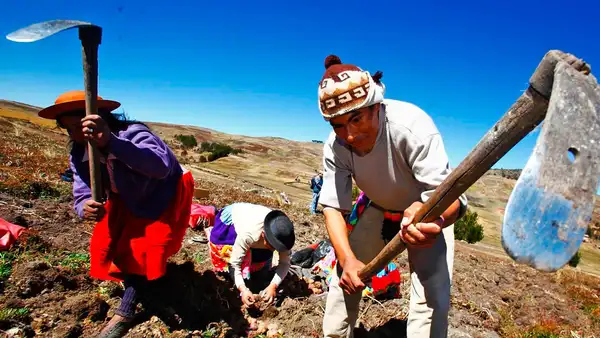 ¿Será feriado el Día del Campesino este 2023? Lo que sabemos HOY