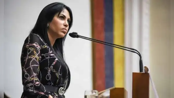Primaria 2023: ¿quién es Delsa Solórzano, la próxima opositora a inscribir su candidatura?