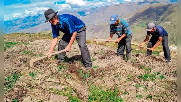 FRASES por el Día del Campesino: mensajes y poesías para compartir este 24 de junio
