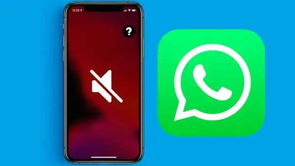 ¿Cómo silenciar las llamadas de WhatsApp que recibes de contactos desconocidos? Te enseñamos