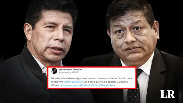 Pedro Castillo: Walter Ayala abandona defensa en proceso de amparo de restitución del expresidente