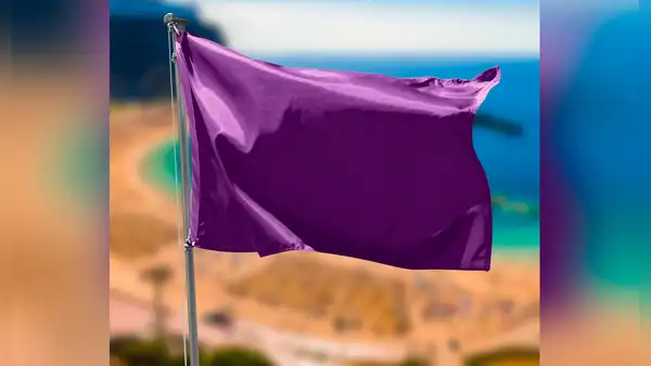 ¿Viste el morado en alguna bandera? Esta es la razón por la que ningún país eligió ese color