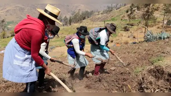 Cofide: más del 60% de participantes rurales en uniones de crédito y ahorro son mujeres