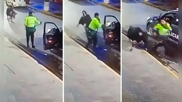 Policía intentó capturar a toro suelto en calle de Abancay y casi fue embestido: “No hay respeto”