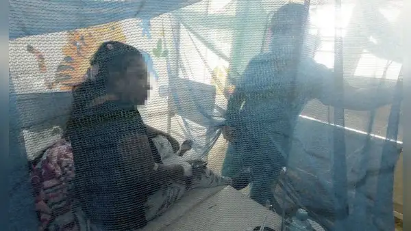 Reportan 100 personas fallecidas por dengue en Piura