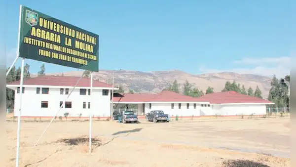Congreso pretende despojar terreno a Universidad Agraria La Molina en Jauja