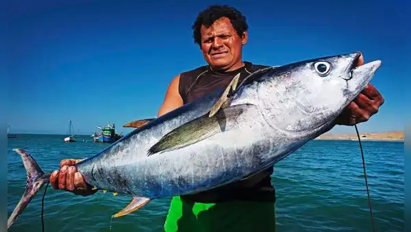 Historia del Día del Pescador: ¿por qué se celebra el 29 de junio en el Perú?