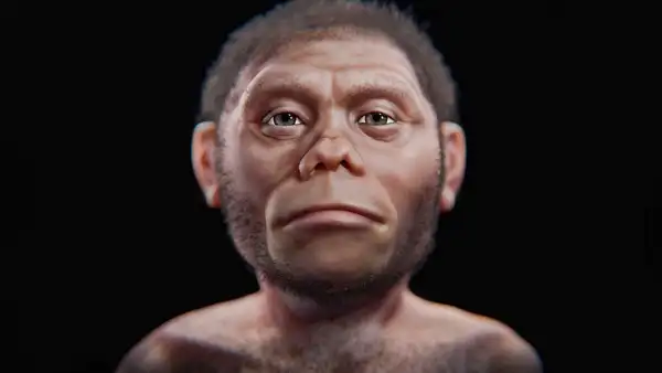 Científicos reconstruyen el rostro del 'Hobbit', nuestro primo enano extinto hace 50.000 años