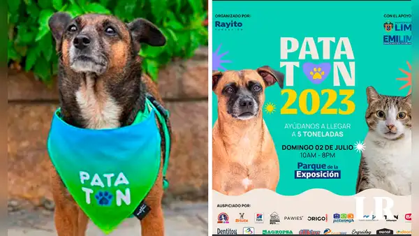 Patatón 2023: conoce la 'Teletón perruna' en donde puedes apoyar colaborando desde 5 soles