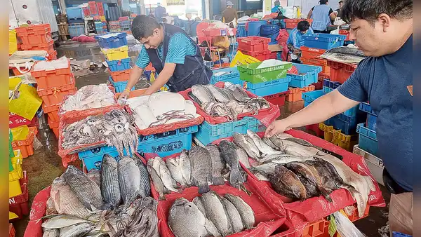 Día del Pescador sin pensiones y a merced del cambio climático