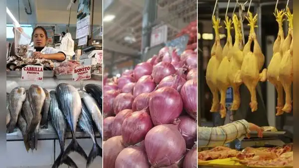 Inflación 2023: ¿cuáles son los productos que más subieron y bajaron de precio en junio?