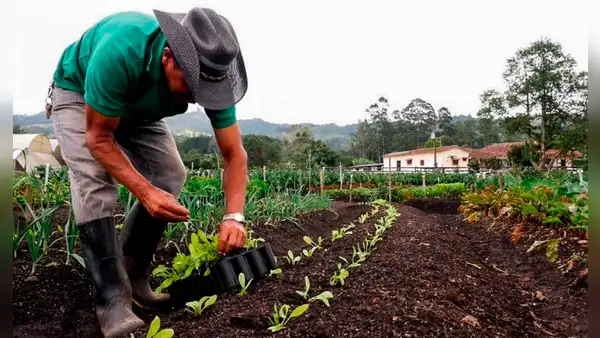 Japón usa fertilizantes fabricados con heces humanas ante precios altos por guerra de Ucrania
