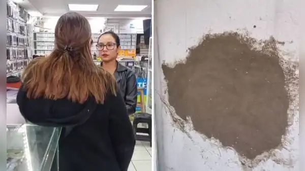Ate: hacen forado, ingresan a tienda de celulares y roban productos valorizados en más de S/100.000