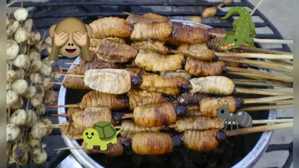 No solo es el suri: ¿qué otros animales exóticos forman parte de la gastronomía peruana?