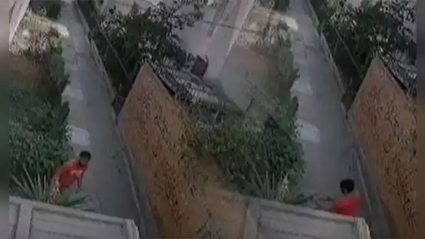 Callao: hombre agredió brutalmente a su mascota cuando la sacaba a pasear