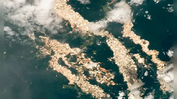 Imágenes de la NASA revelan 'ríos de oro' en la selva peruana a causa de la minería ilegal