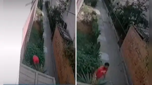 Callao: sujeto que agredió brutalmente a su mascota fue multado con más de S/2.000 por maltrato animal
