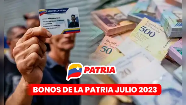 ¿Qué bonos están llegando HOY a través de la plataforma Patria?
