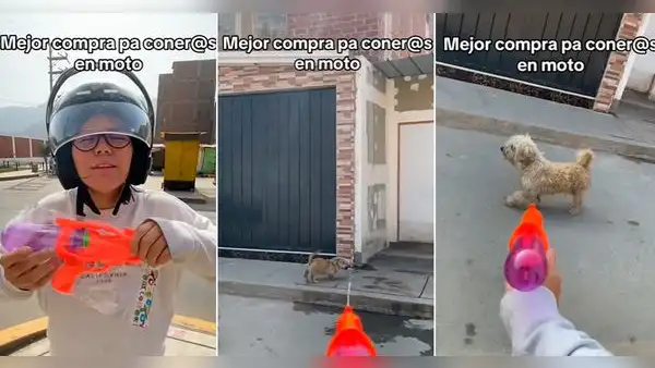 Joven ‘dispara’ con su pistola de agua a los perritos que se acercan a ladrarle: “La mejor compra”