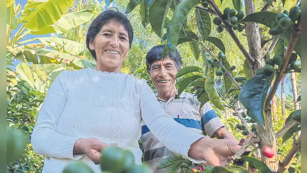 El mejor café del mundo es de sandia y le pertenece a Vicentina Phocco