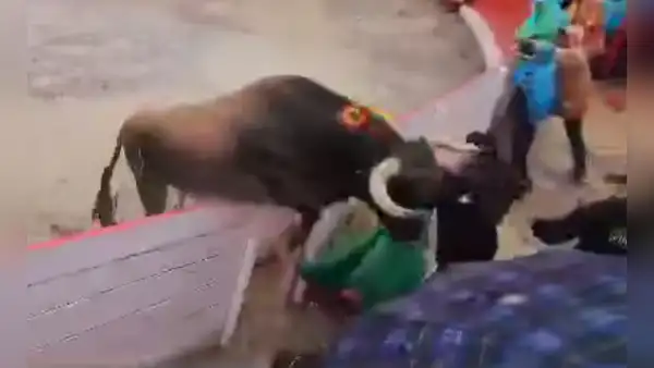 Asustado toro salta por encima del ruedo en Cajamarca y genera pánico en el público