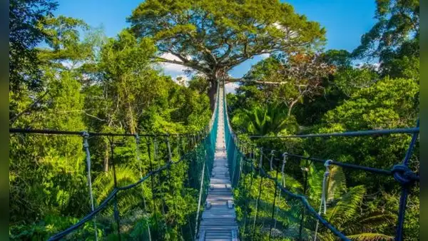 Puerto Maldonado: ¿cuál es la mejor época para visitarlo y qué atractivos turísticos hay?