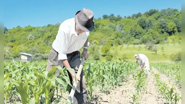 FAO: producción agrícola y pesquera en América Latina crecerá 12% al 2032