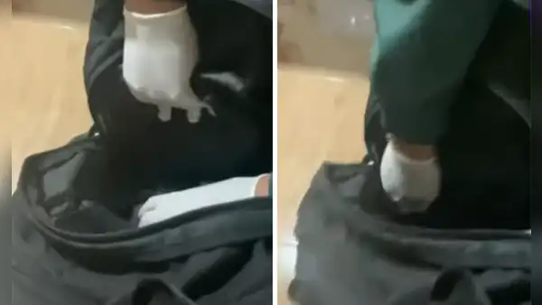 SJL: profesores hallan pistolas en mochilas de escolares tras actuación por Día del Maestro