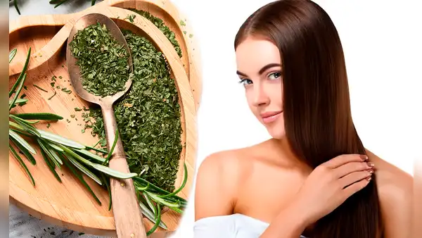 ¿Quieres fortalecer tu cabello? Descubre los 10 beneficios del romero para un pelo sano