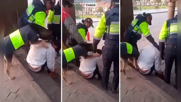 Perro de Serenazgo intenta despertar a hombre dormido en calle del Cusco: “Firualis resguardando la ciudad”