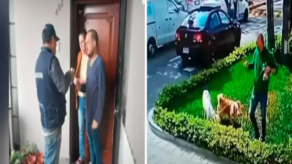 Maltrato animal: sujeto que golpeó a mascotas fue multado con más de S/2.400 en Magdalena