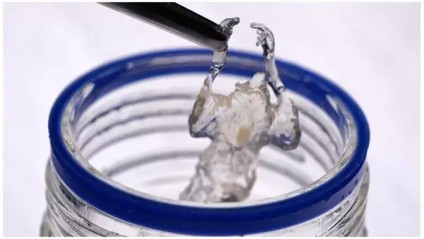 ¿Cómo los ratones transparentes ayudan a mejorar terapias contra el cáncer?