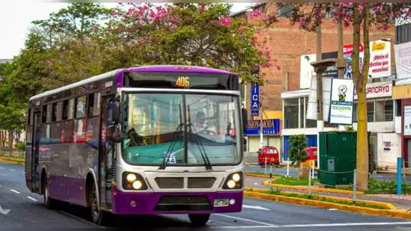 Corredor Morado: ATU anuncia incremento de buses en beneficio de más de 3.600 usuarios al día