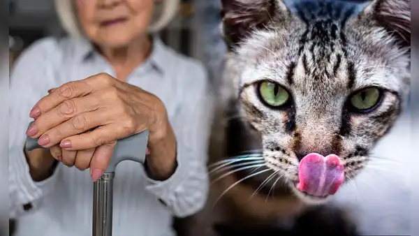 El caso de Clara Tobón: la mujer que fue devorada por sus gatos tras morir en soledad