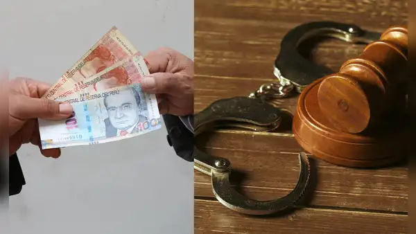 ¿Cuáles serían las penas para los empleadores que se apropien de los fondos de pensiones?