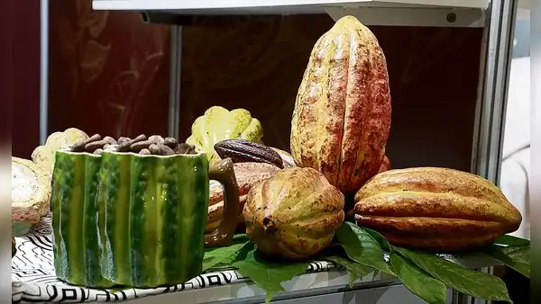 Cacao peruano llega a más de 70 mercados a nivel mundial